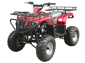 ATA125-F1