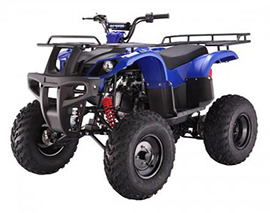 BBP-BULL 150