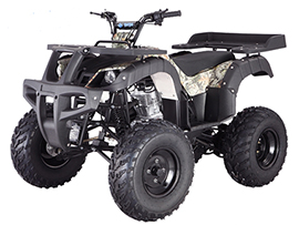 BBP-RHINO 250